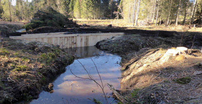Die Holzspundwand wird verwendet, damit genügend Wasser im Sumpf bleibt.